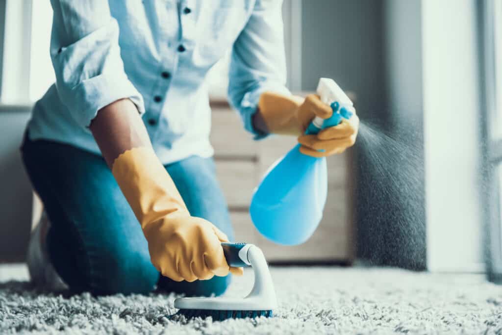 How To Disinfect Carpet Without Steam Cleaner