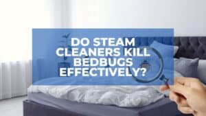 Do Steam Cleaners Kill Bed Bugs Effectively? 1