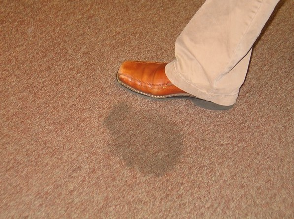 Scotchgard, Carpet, Stain Protection: Things You Have To Know 2