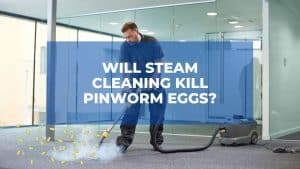 Will Steam Cleaning Kill Pinworm Eggs? 1