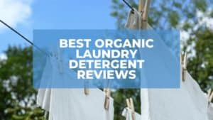 Best Organic Laundry Detergent Reviews