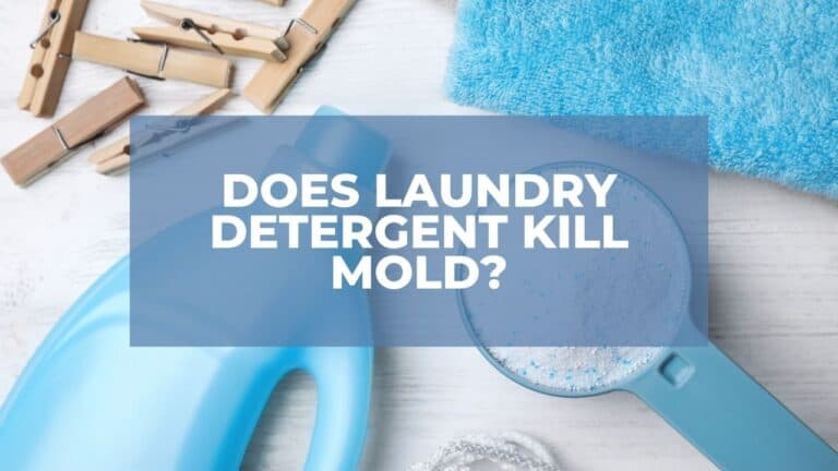 Does Laundry Detergent Kill Mold