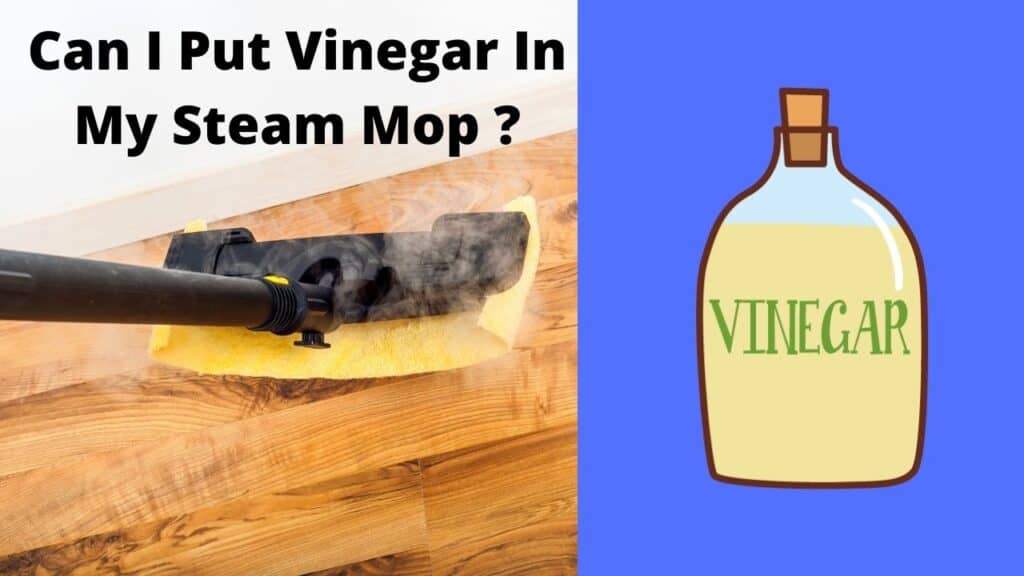 Can I Put Vinegar In My Steam Mop? You're Right!