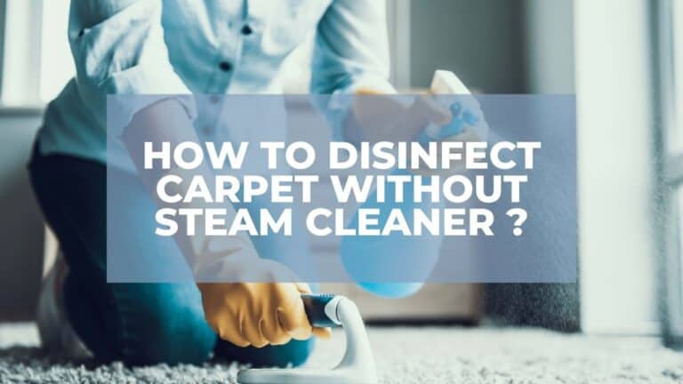 Disinfect Carpet Without Steam Cleaner