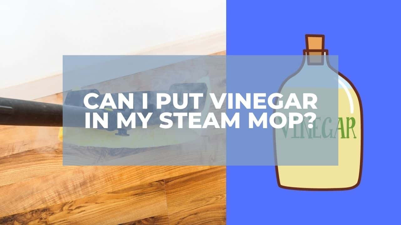 Can I Put Vinegar In My Steam Mop You re Right 