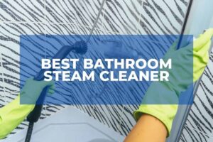 Best Bathroom Steam Cleaner