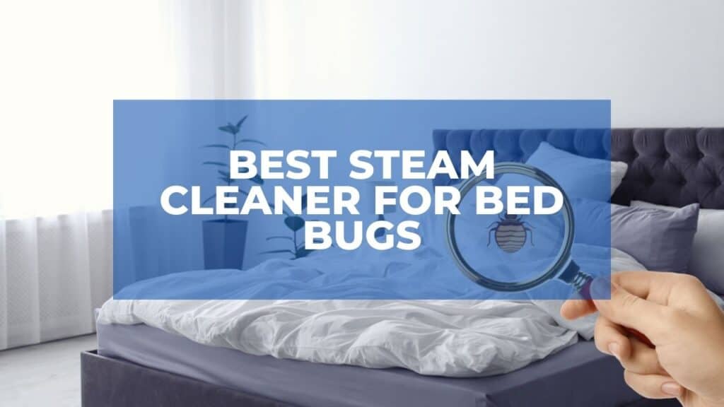 steam clean bed bugs in a foam mattress