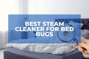 Best Steam Cleaner For Bed Bugs