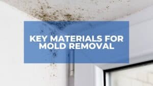Key Materials for Mold Removal