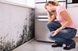 mold removal