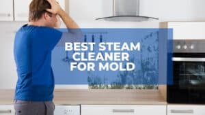 Best Steam Cleaner For Mold 1
