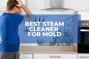 Best Steam Cleaner For Mold
