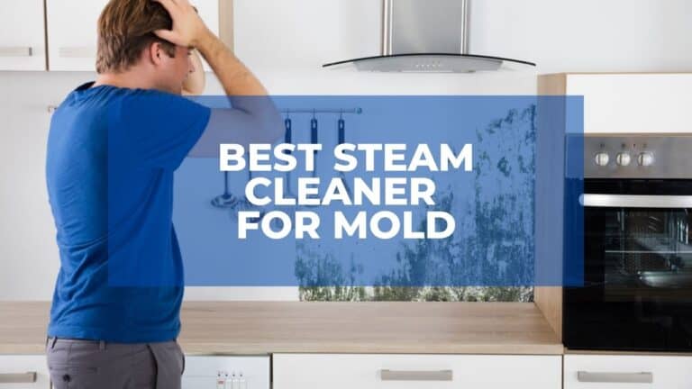 Best Steam Cleaner For Mold