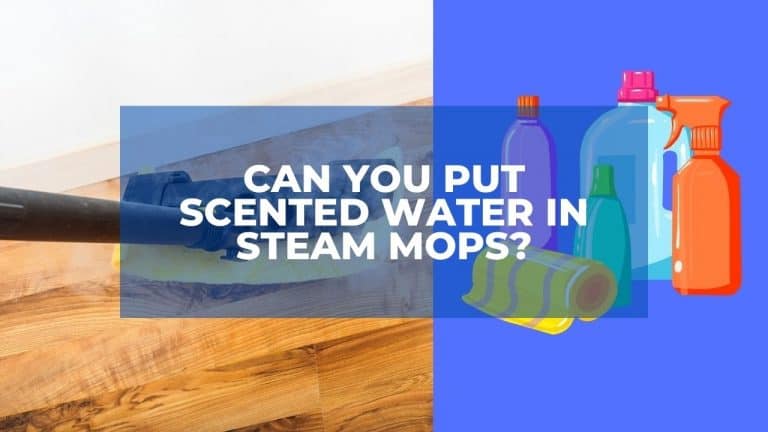 Can You Put Scented Water in Steam Mops