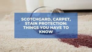 Scotchgard, Carpet, Stain Protection: Things You Have To Know 1