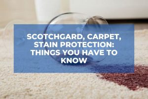 Scotchgard, Carpet, Stain Protection: Things You Have To Know