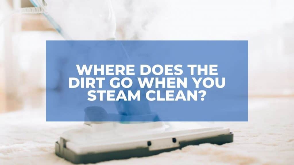 Where Does The Dirt Go when You Steam Clean?