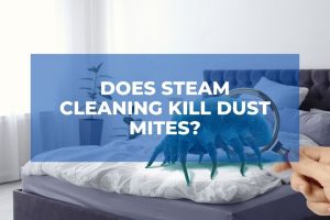 Can Steam Cleaning Exterminate Dust Mites?