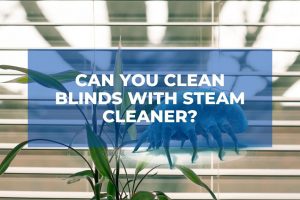 Can You Clean Blinds With Steam Cleaner?