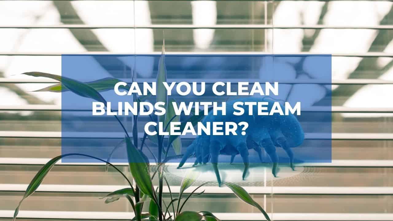 Can You Clean Blinds With Steam Cleaner