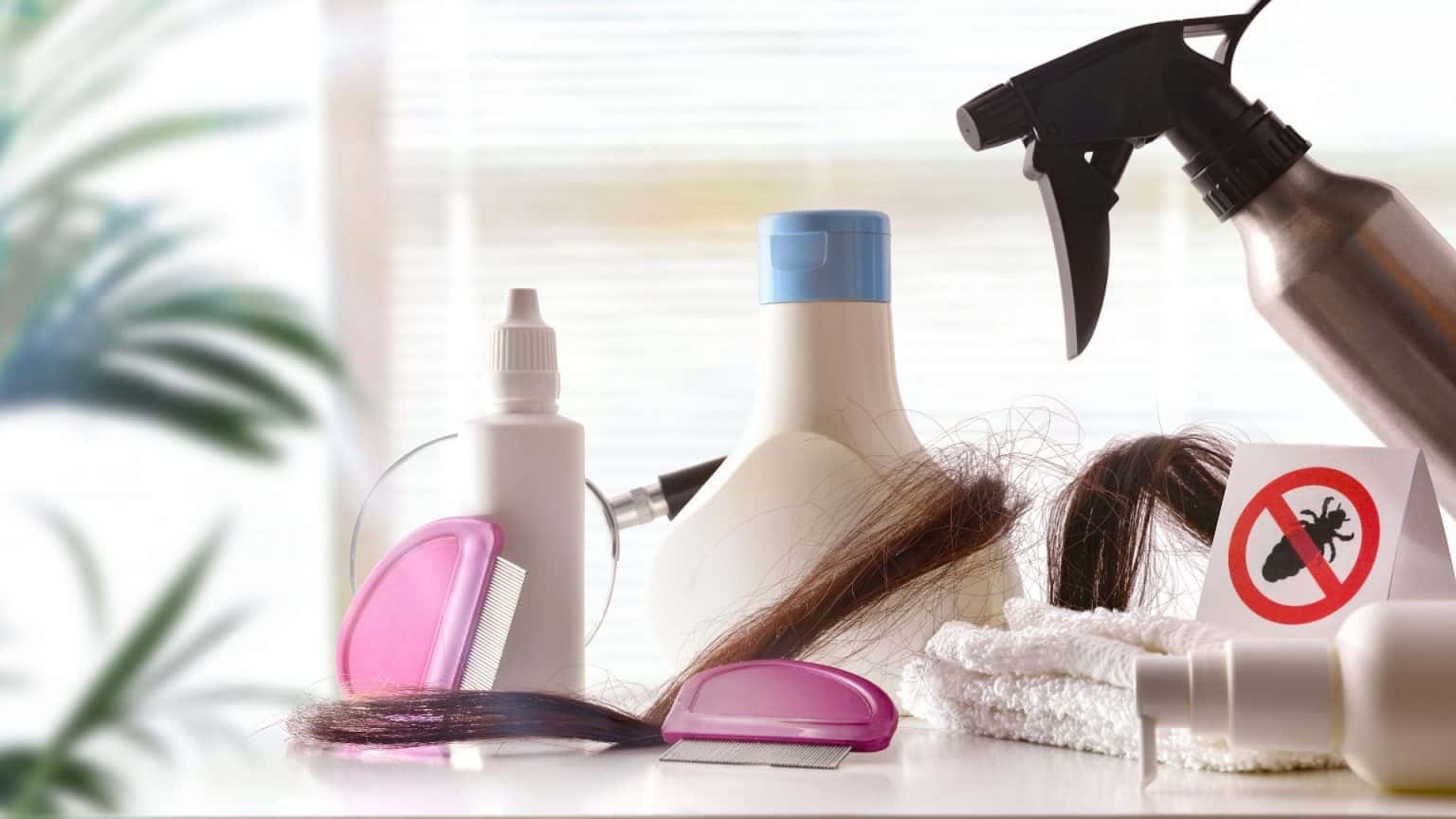 Does Steam Cleaning Kill Lice?