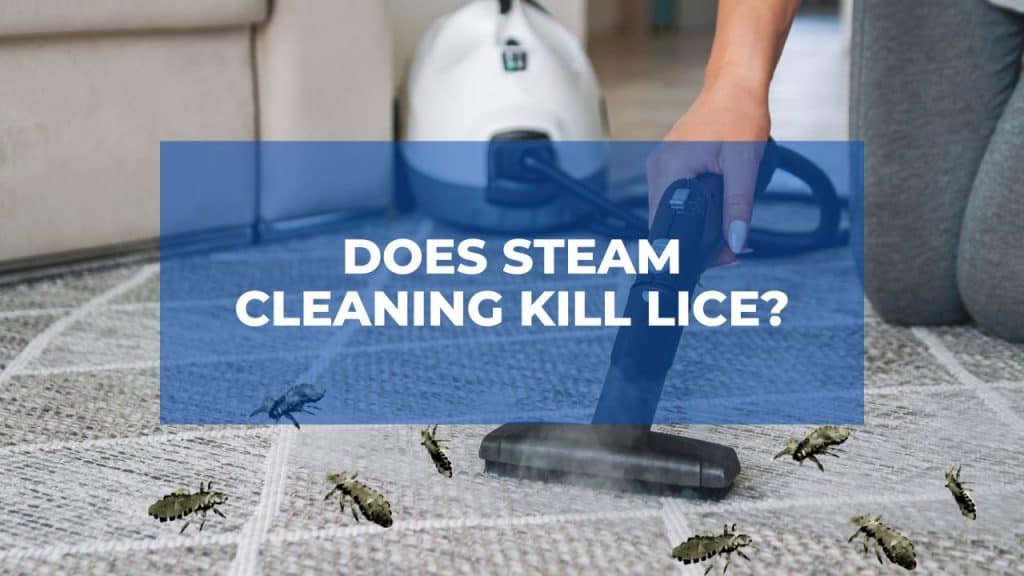 Does Steam Cleaning Kill Lice?