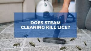 Does Steam Cleaning Kill Lice? 1