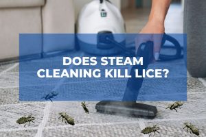 Does Steam Cleaning Kill Lice?