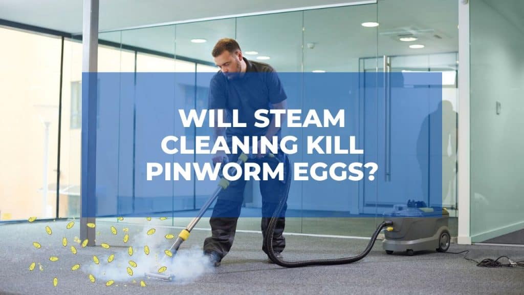 Will Steam Cleaning Kill Pinworm Eggs?