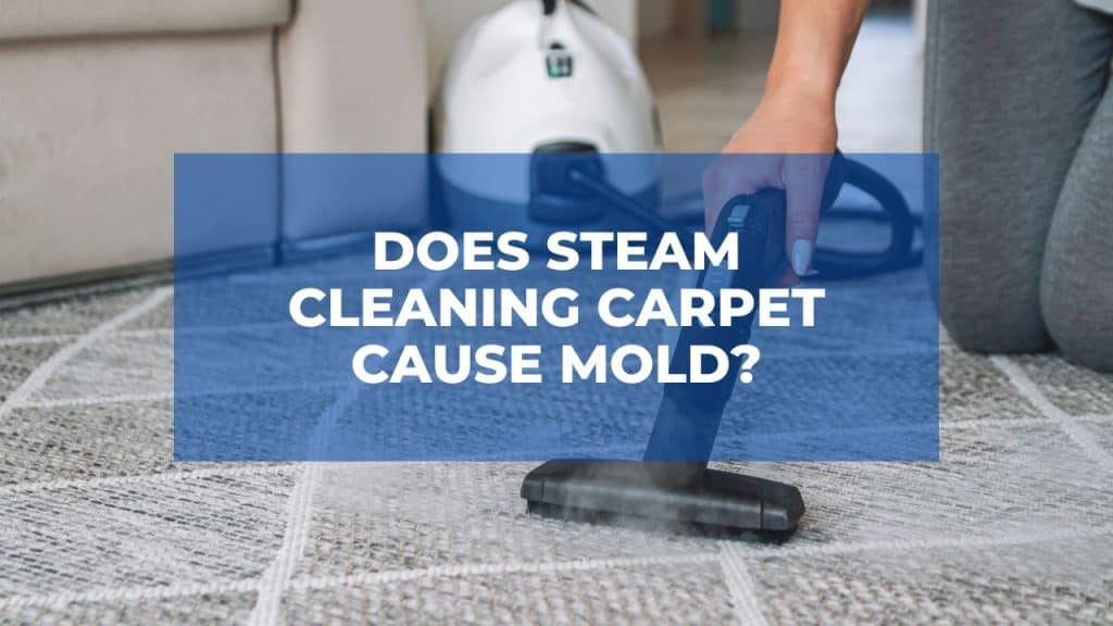 Does Steam Cleaning Carpet Cause Mold?