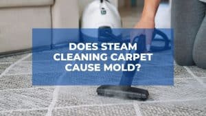Does Steam Cleaning Carpet Cause Mold? 1