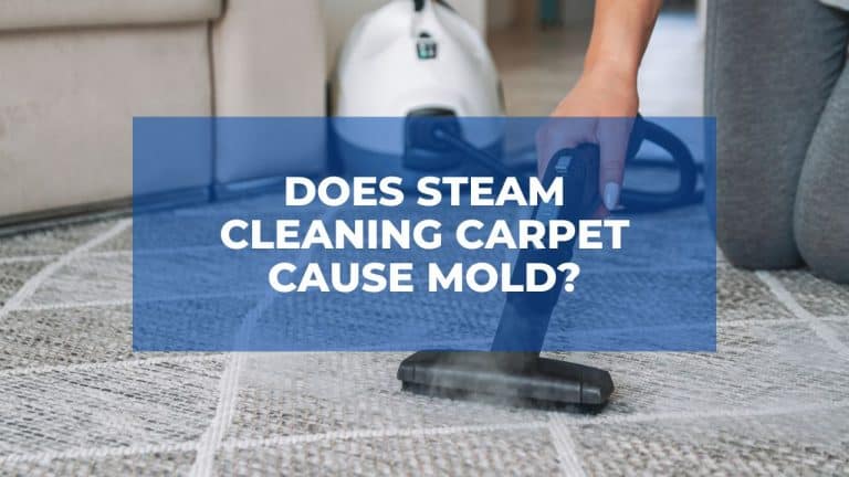 Does Steam Cleaning Carpet Cause Mold