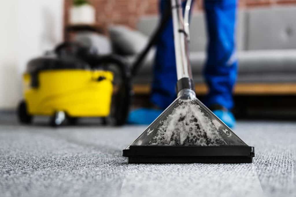 How To Deodorize Carpet Naturally: Easy & Effective Methods 3