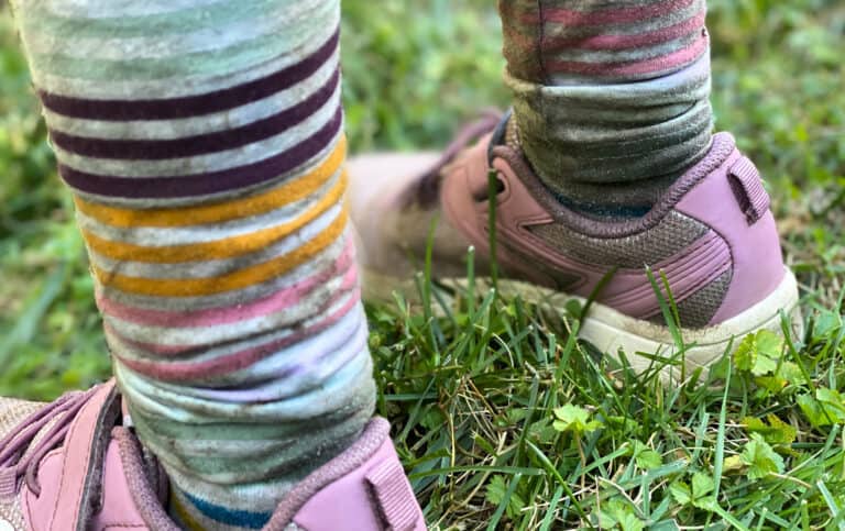 Get Rid of Chlorophyll Stains on Carpet: Easy DIY Methods! 1