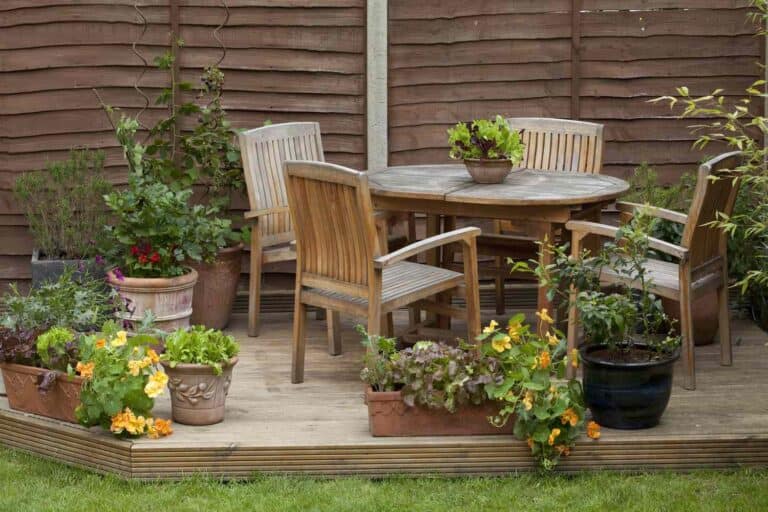 Say Goodbye to Rotten Fruit Stains: Expert Carpet Cleaning Tips 2