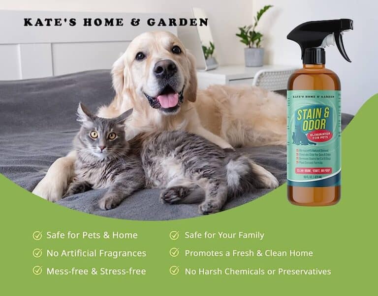 Say Goodbye to Stubborn Stains: Removing Dried Poop from Carpets 2