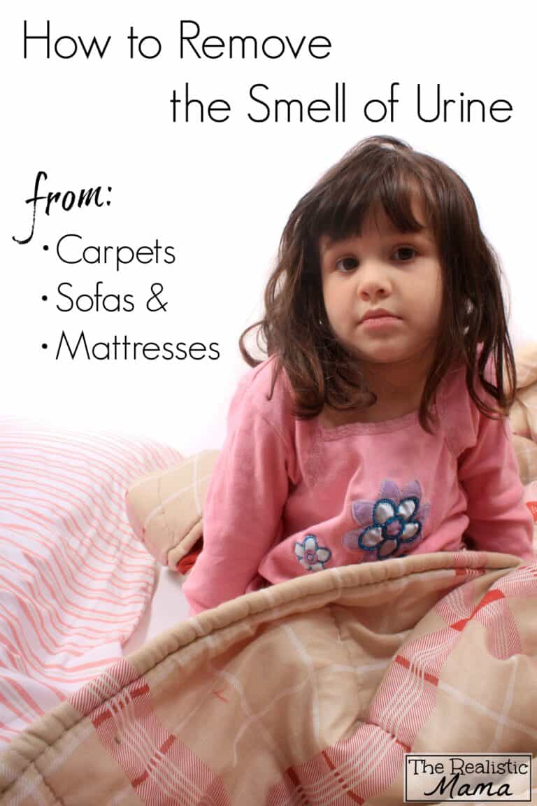 Eliminate Kid Pee Smell: Simple Tricks for Your Carpet 3