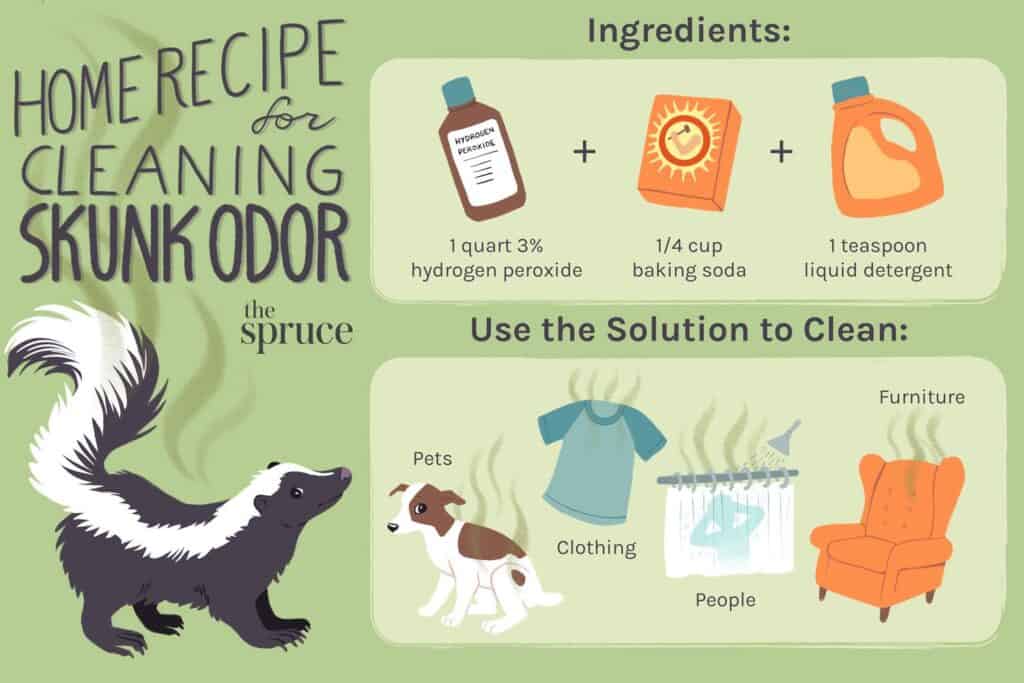 How To Banish Skunk Stink From Your Clothes 1