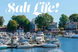 Effortless Hack: Fish Blood Out Of Boat Carpet