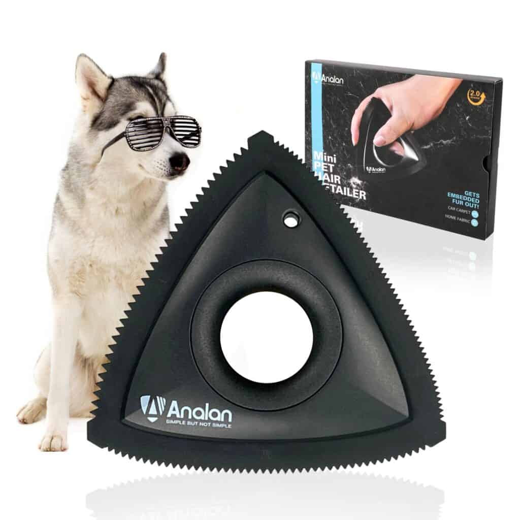 Revamp Your Car's Interior: Remove Dog Hair From Carpet 1