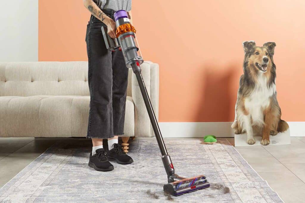 How To Tackle Dog Hair on Marine Carpet: Ultimate Guide 1