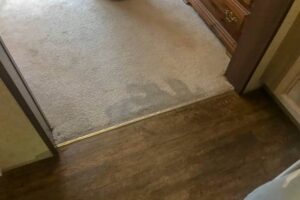How to Clean Subfloor After Removing Carpet?