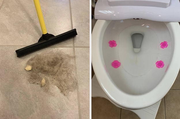 Say Goodbye to Pesky Pollen: Lily Flower Stain Removal Guide for Spotless Carpets 3