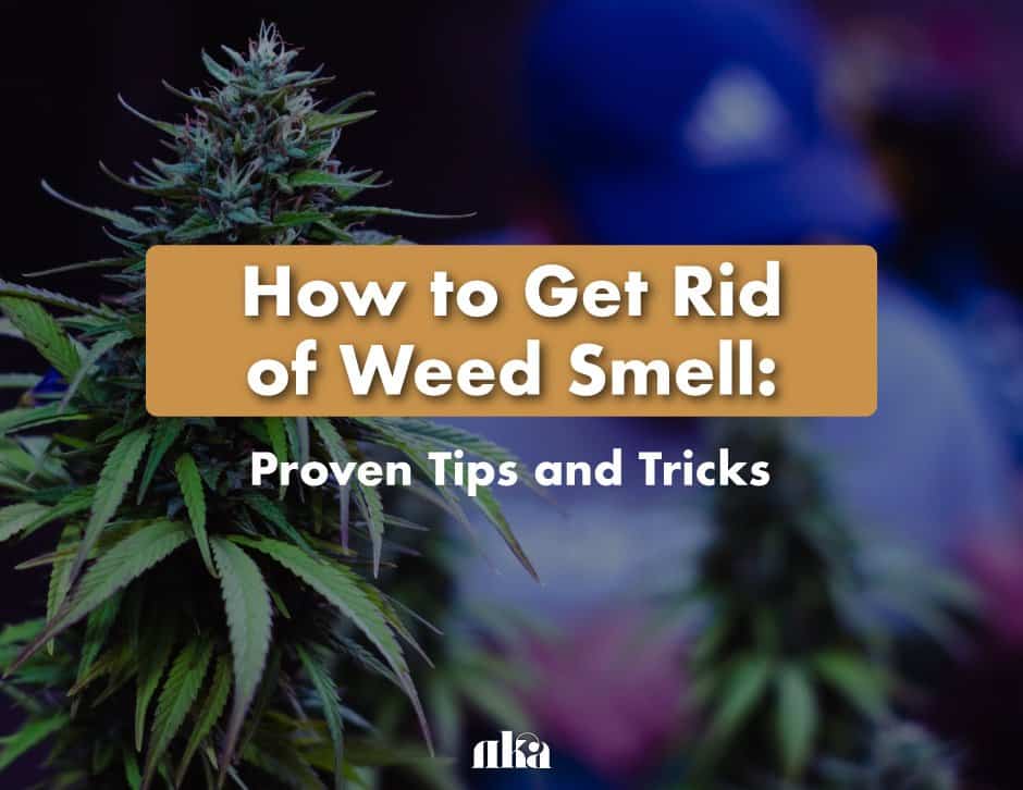 Eliminate Smoke Odor from Clothes with These Expert Tips 2