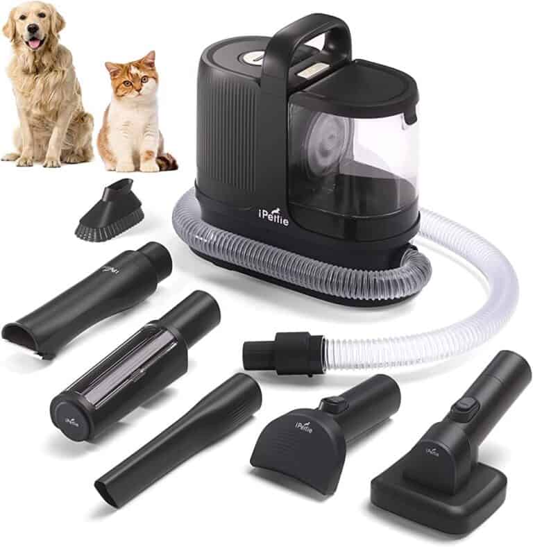 Say Goodbye to Stubborn Dog Hair on Stair Carpets: Expert Tips 1