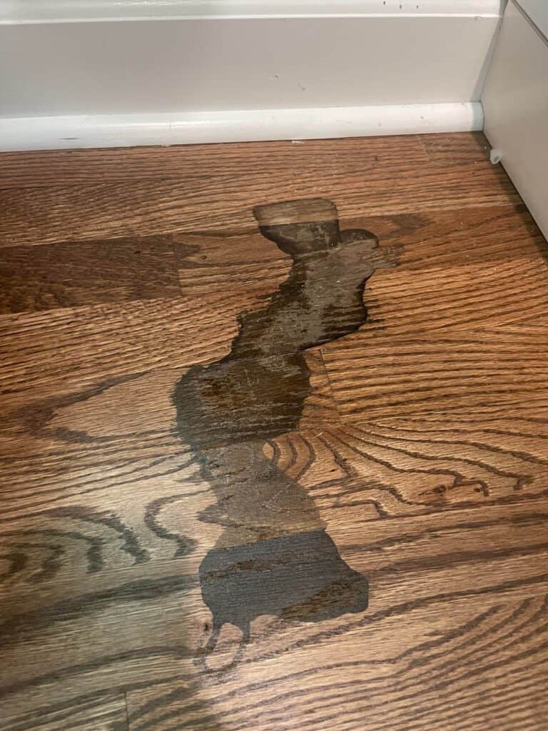 Revive Your Carpet: How To Clean Rotting Potatoes. 1