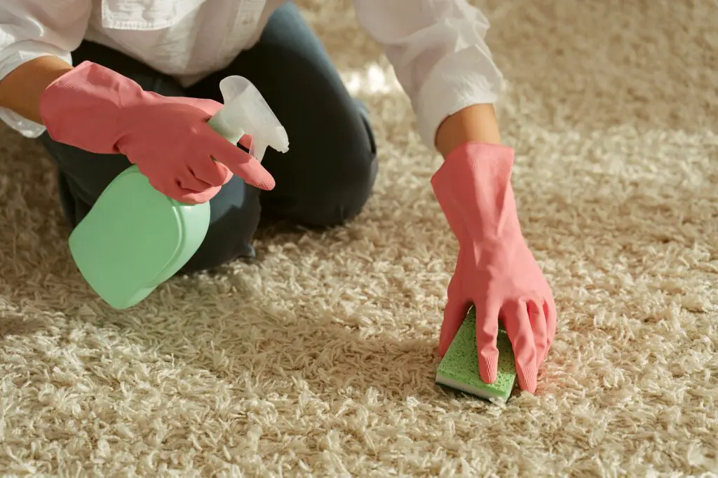 5 Proven Hacks to Remove Chalkboard Paint from Carpet 3