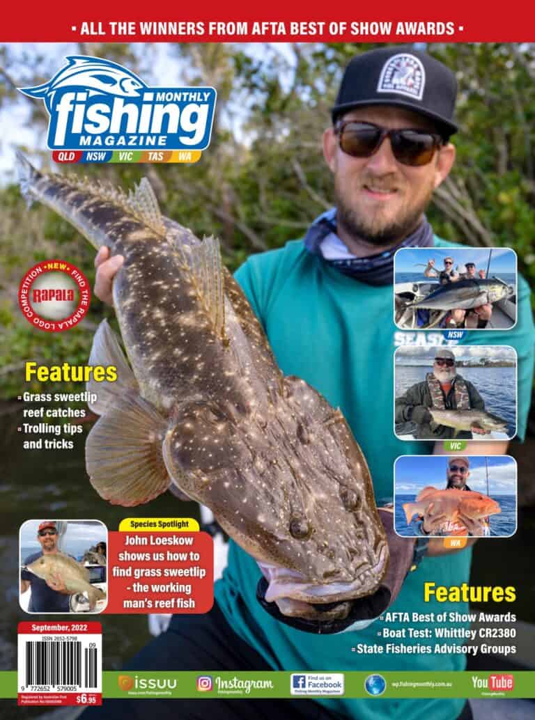 Safely Clean Moss Off Pontoon Carpet: Expert Tips & Tricks 2