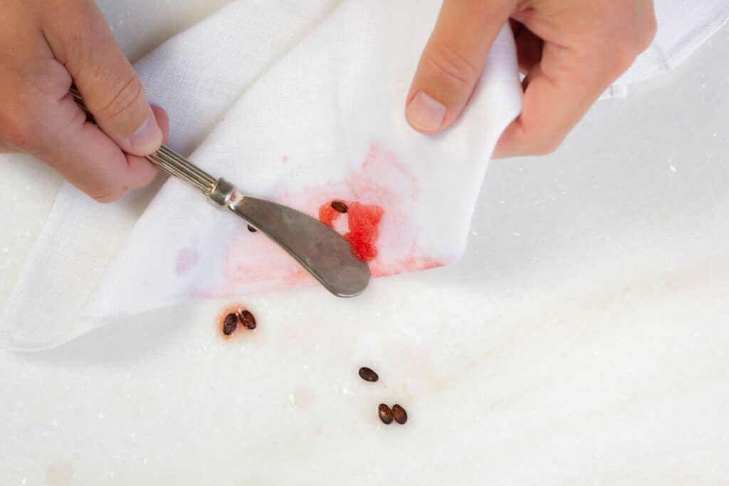 How to Easily Remove Watermelon Stains from Carpet: Expert Tips 1