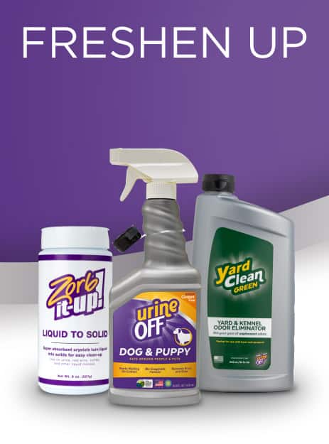 Say Goodbye to Masking Fluid Stains in Carpets: Easy Solutions 3